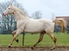 Baron